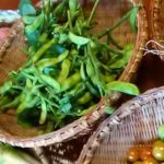 週末田舎暮らしと東京暮らしとの共存