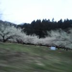 思い立って、田舎暮らし宅に帰宅：2014年の思い出